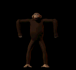 Monkey Dancing Gif